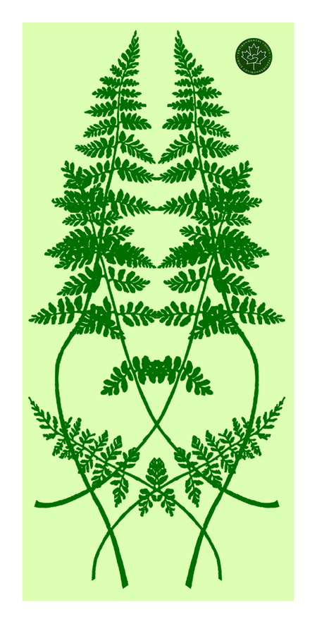 NCCFernBag Illustration, Nature Conservancy of Canada