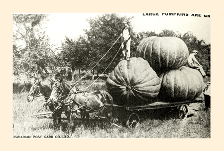 LargePumpkins